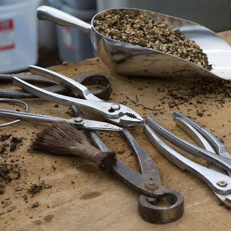Repotting Tool Set