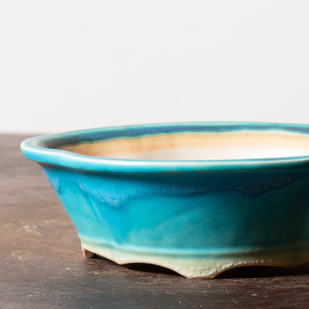 Untextured Lotus No. 3