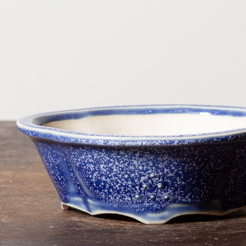 Untextured Lotus No. 1