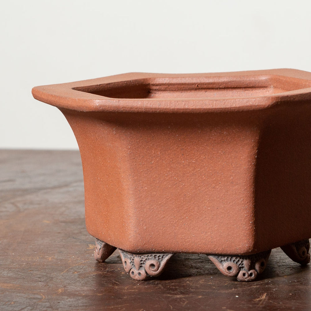 Hexagon Reduction No. 23