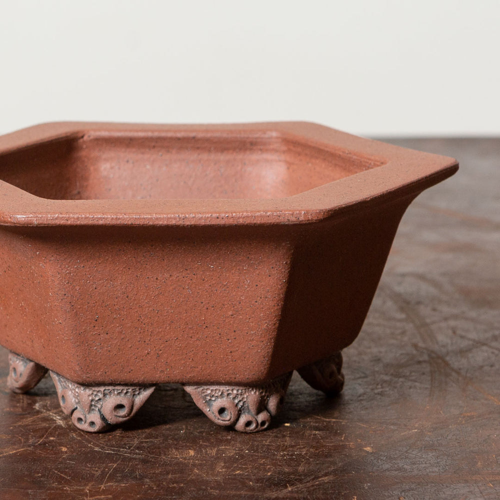 Hexagon Reduction No. 26