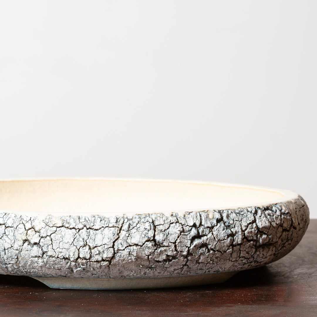 Textured Oval No. 41