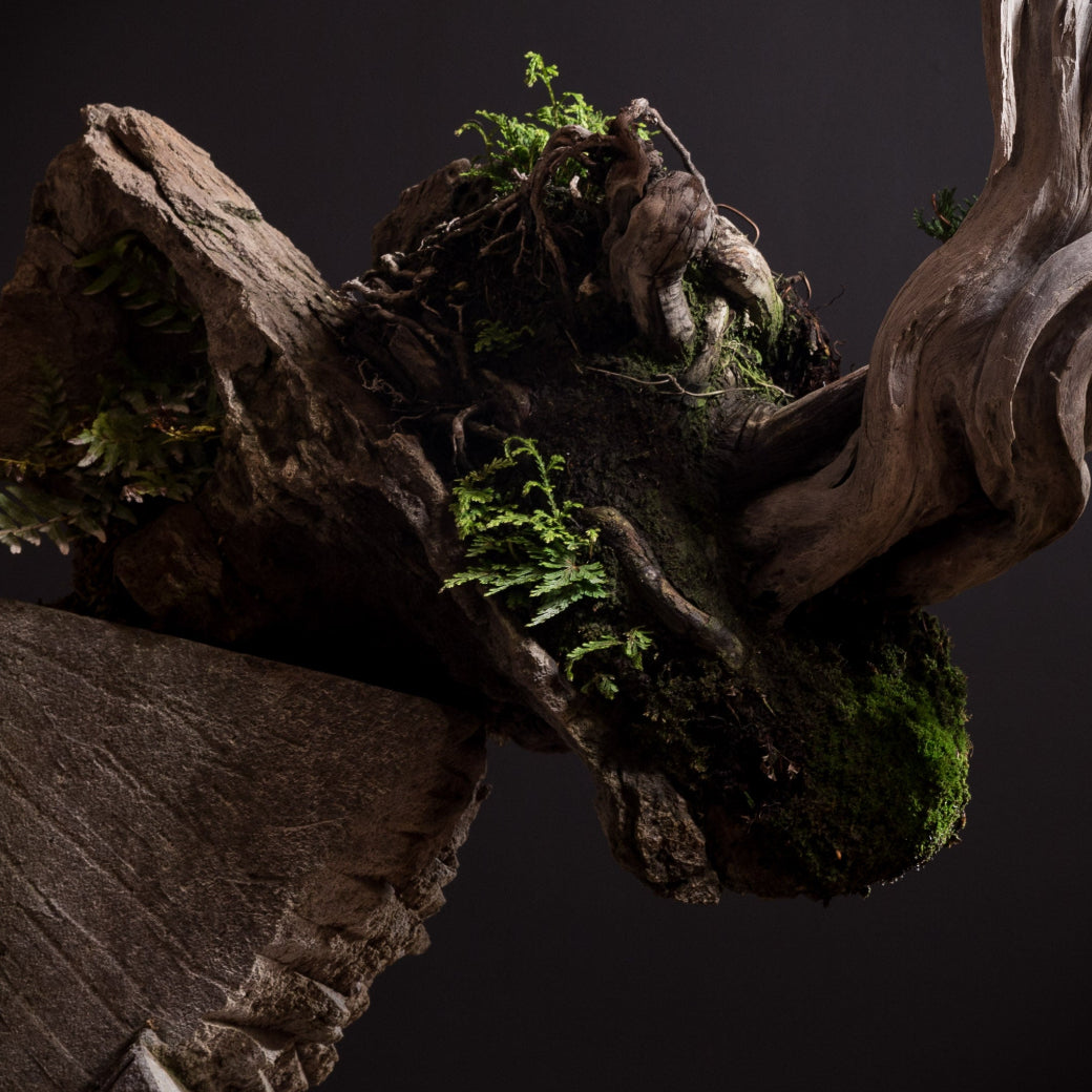 Close-up of a natural rock formation with greenery on a dark background
