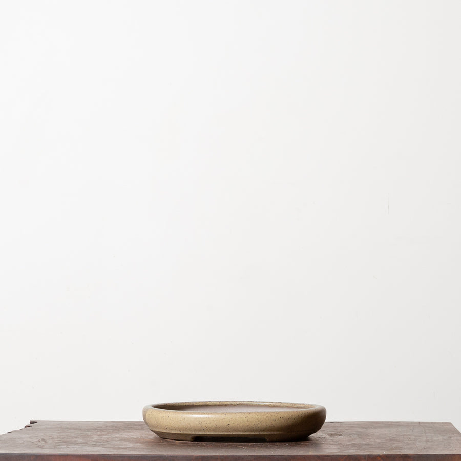 Sheen Oval No. 28