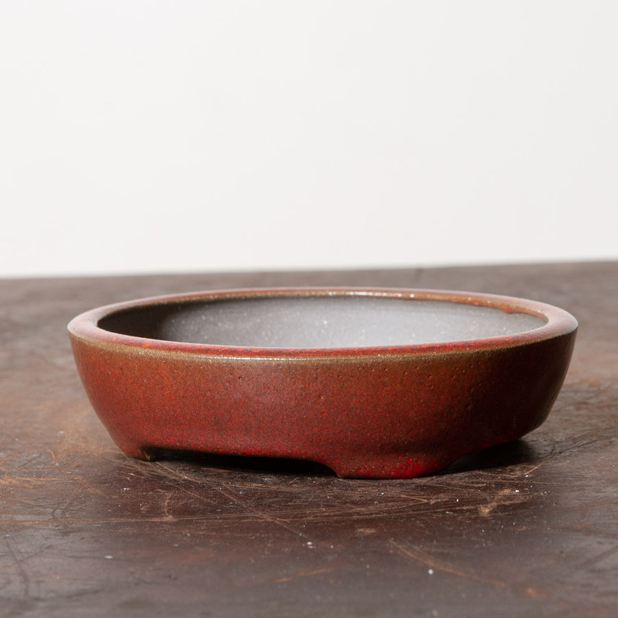 Sheen Oval No. 22