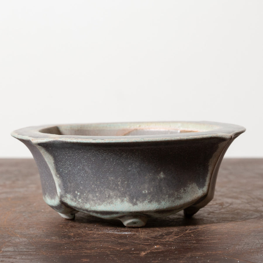 Sheen Mokko No. 8
