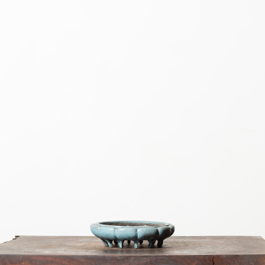 Sheen Lotus No. 54