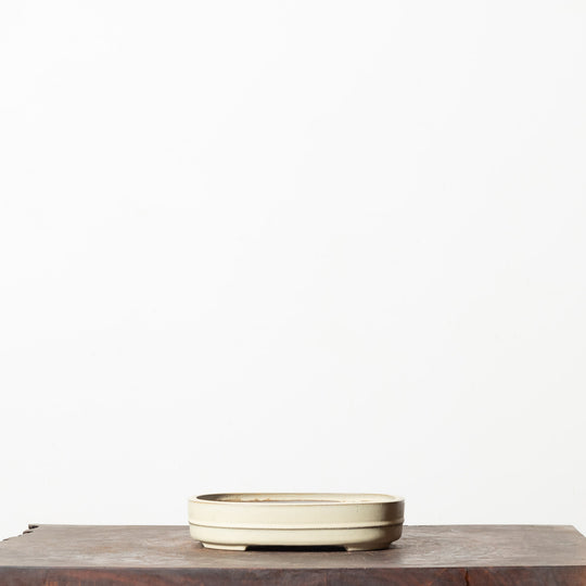 Sheen Oval No. 67