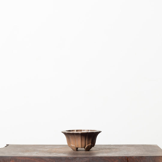 Matte Lotus No. 25