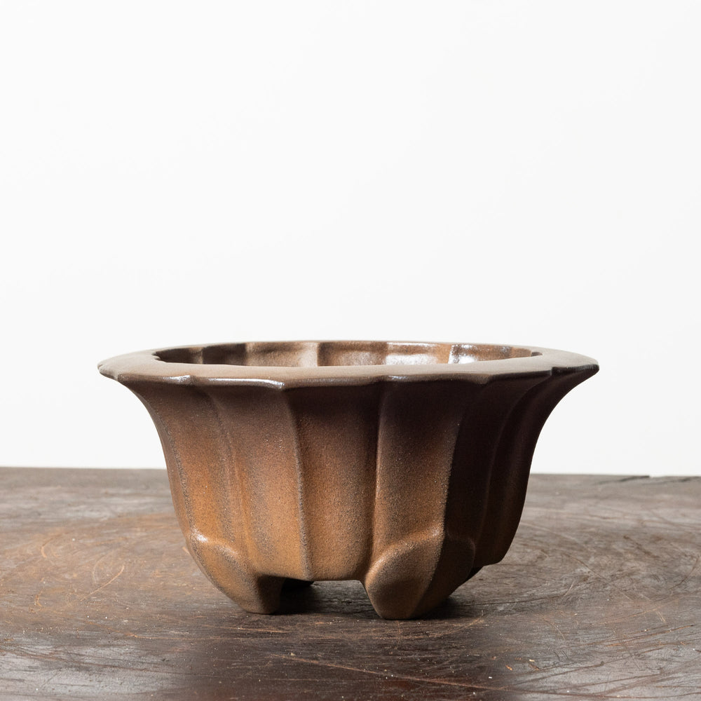 Matte Lotus No. 25