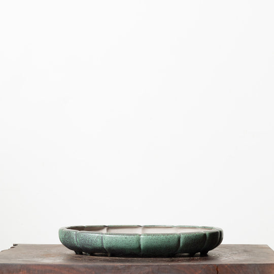 Sheen Lotus No. 55