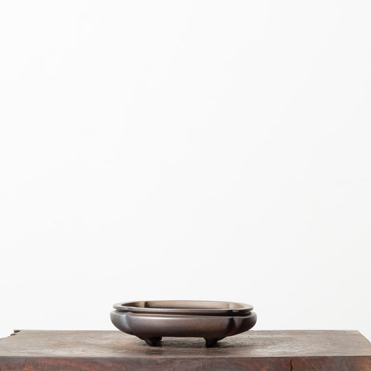 Matte Mokko No. 29