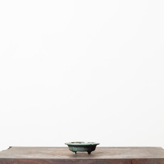 Sheen Lotus No. 56