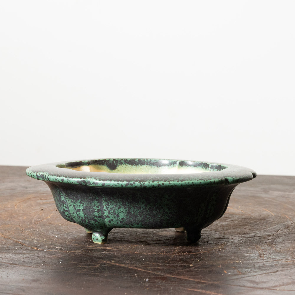 Sheen Lotus No. 56
