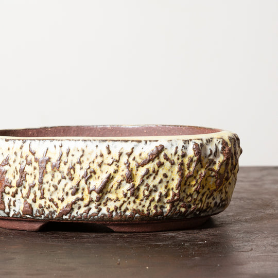 Textured Oval No. 47