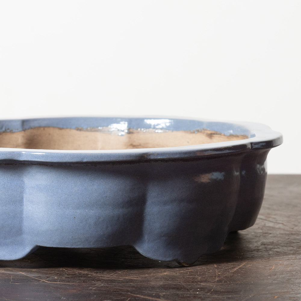 Glazed Lotus No. 100