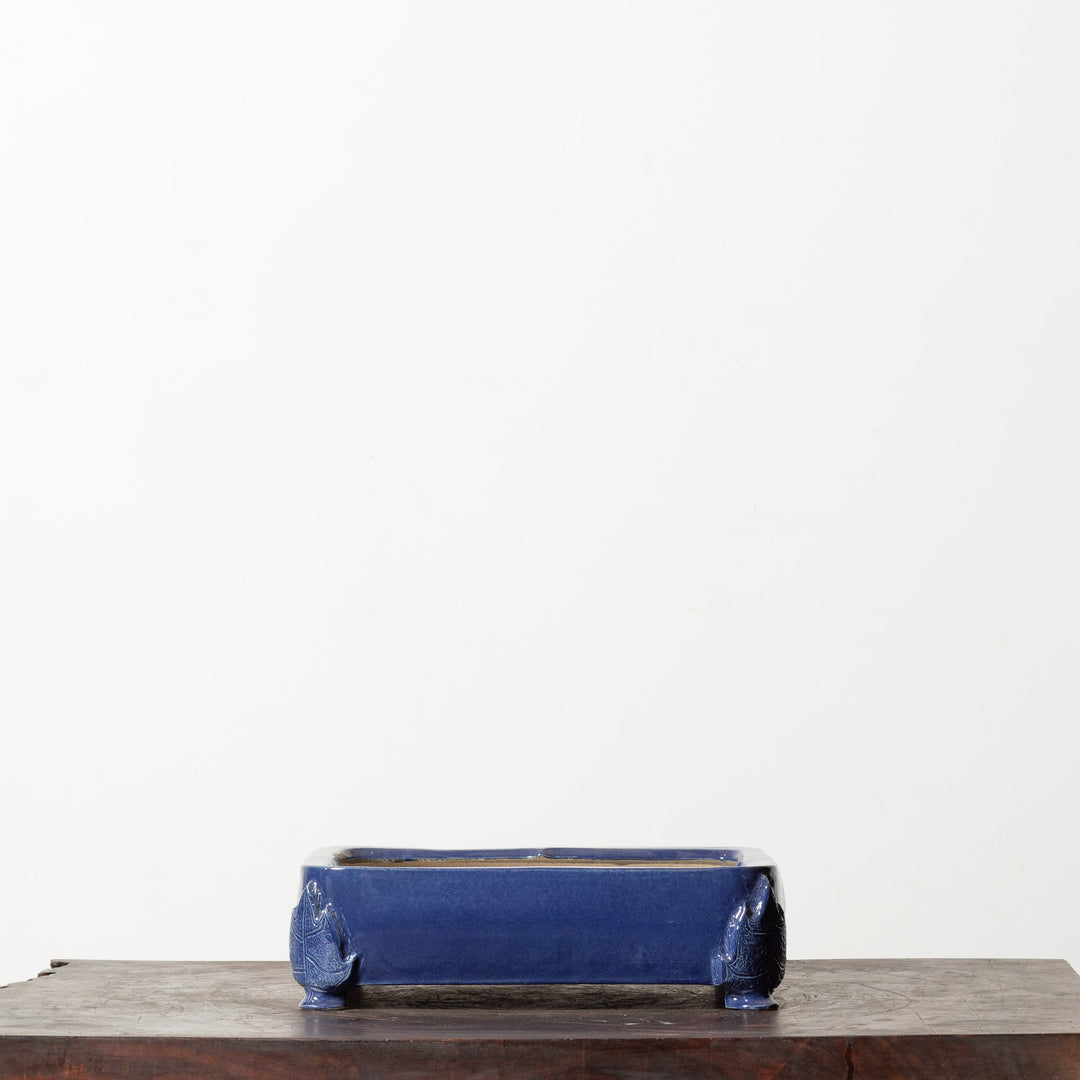 Glazed Rectangle No. 182