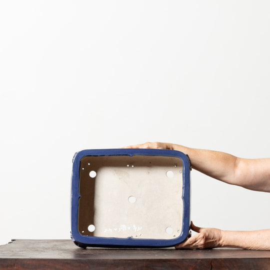 Glazed Rectangle No. 182