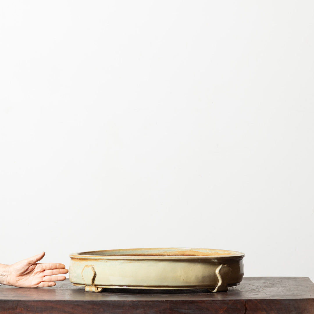 Glazed Oval No. 52