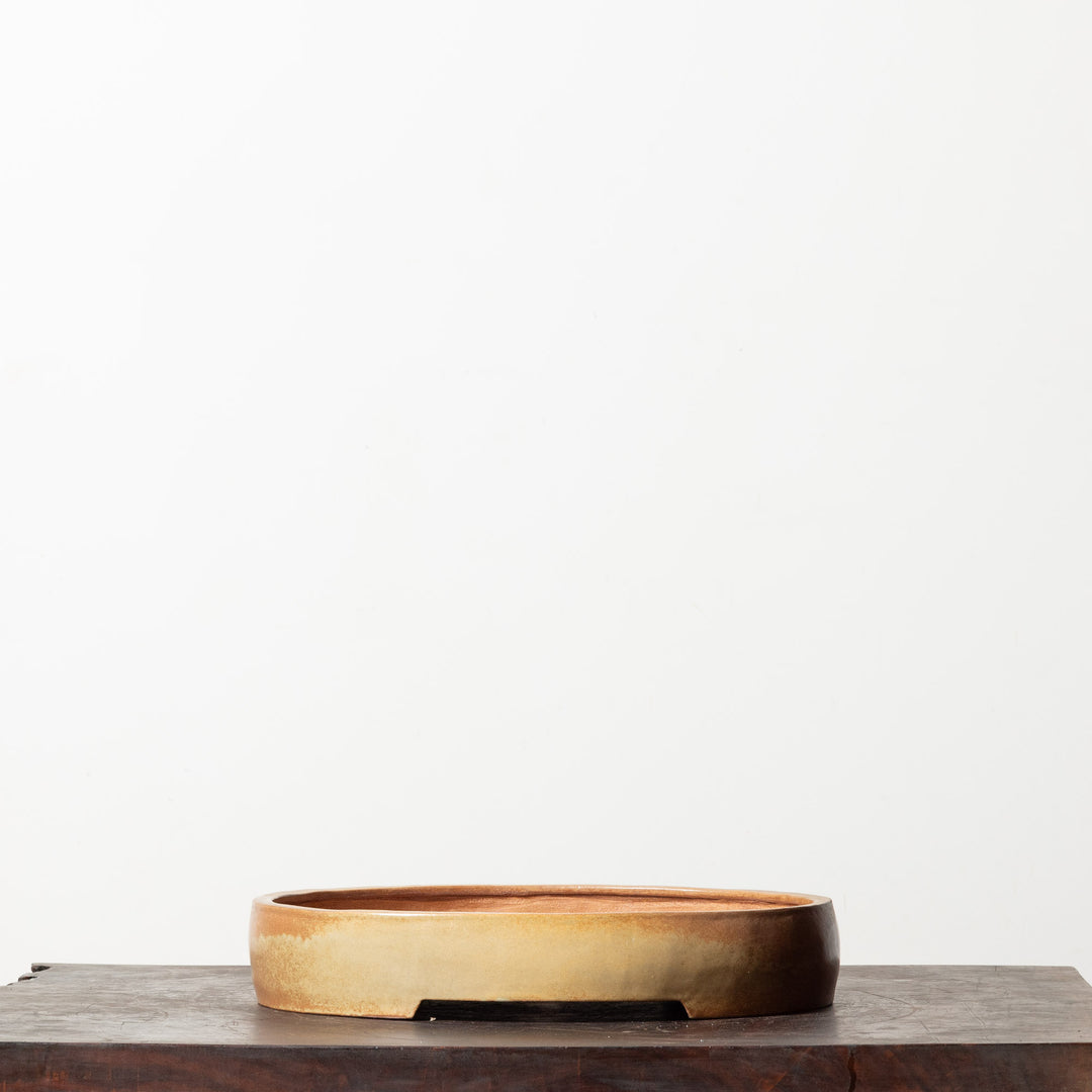 Glazed Oval No. 53