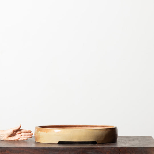 Glazed Oval No. 53
