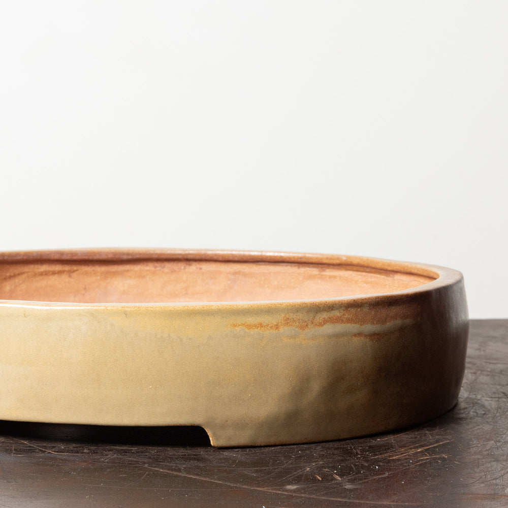 Glazed Oval No. 53