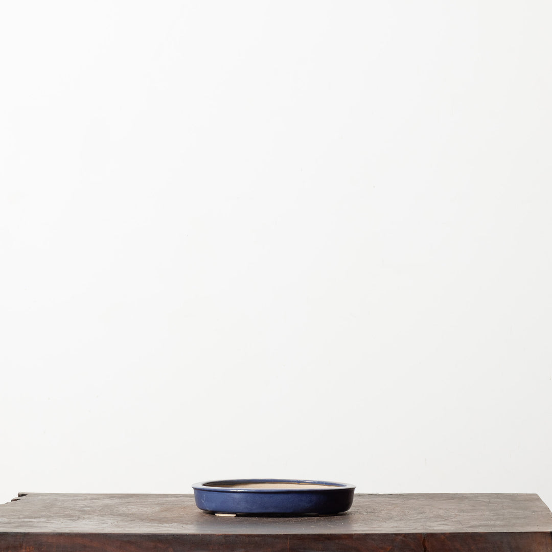 Glazed Oval No. 51