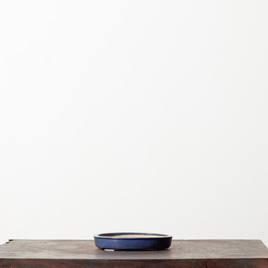 Glazed Oval No. 51