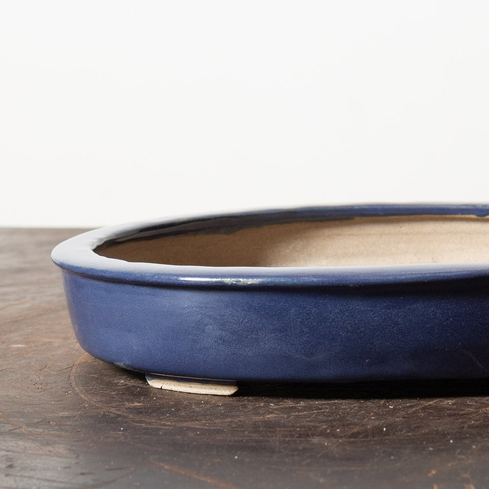 Glazed Oval No. 51