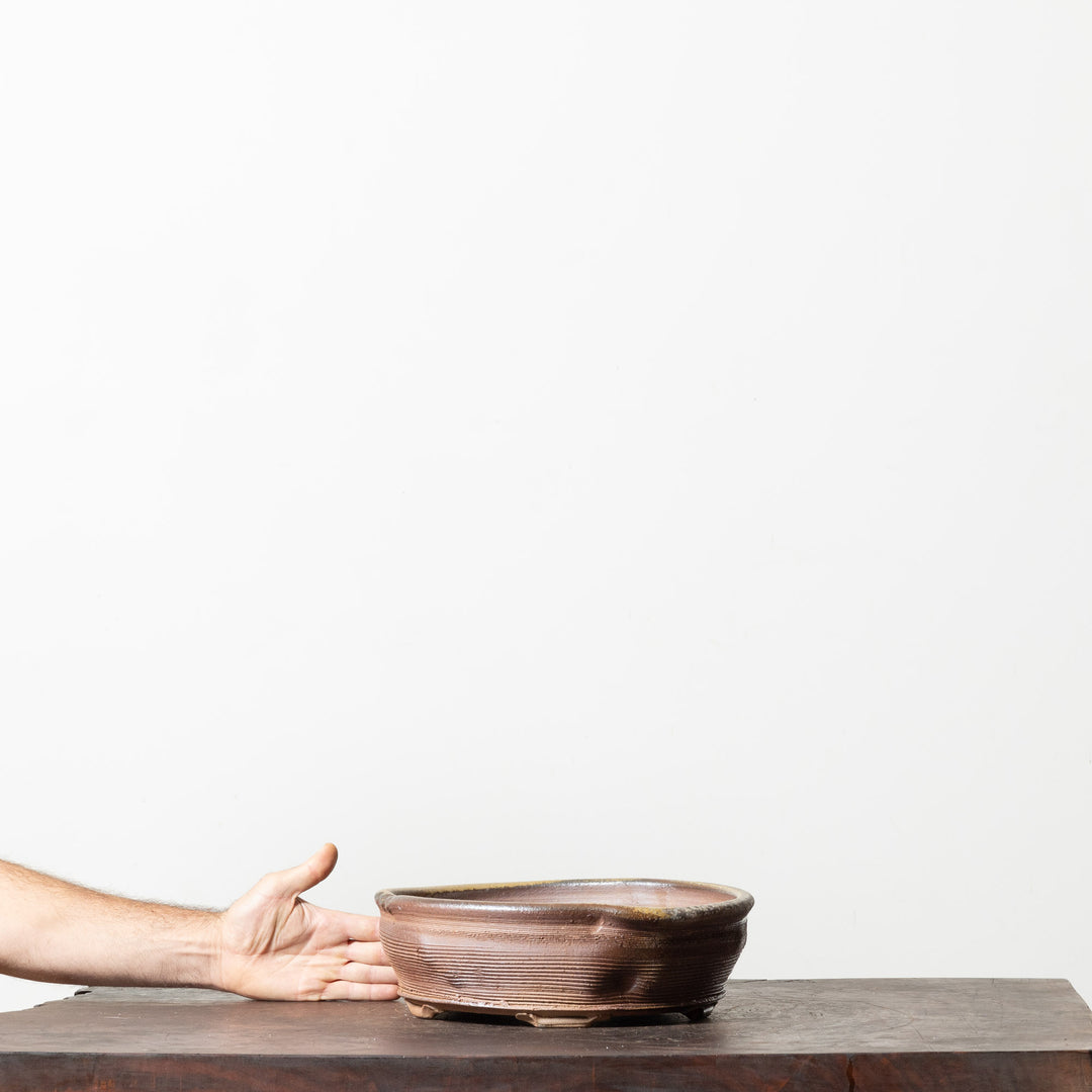 Anagama Fired Oval No. 1