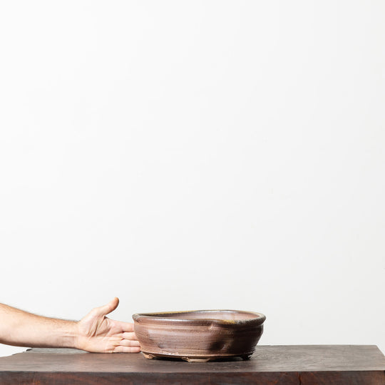 Anagama Fired Oval No. 1