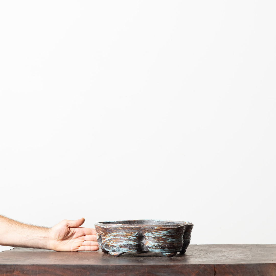 Glazed Floral No. 12