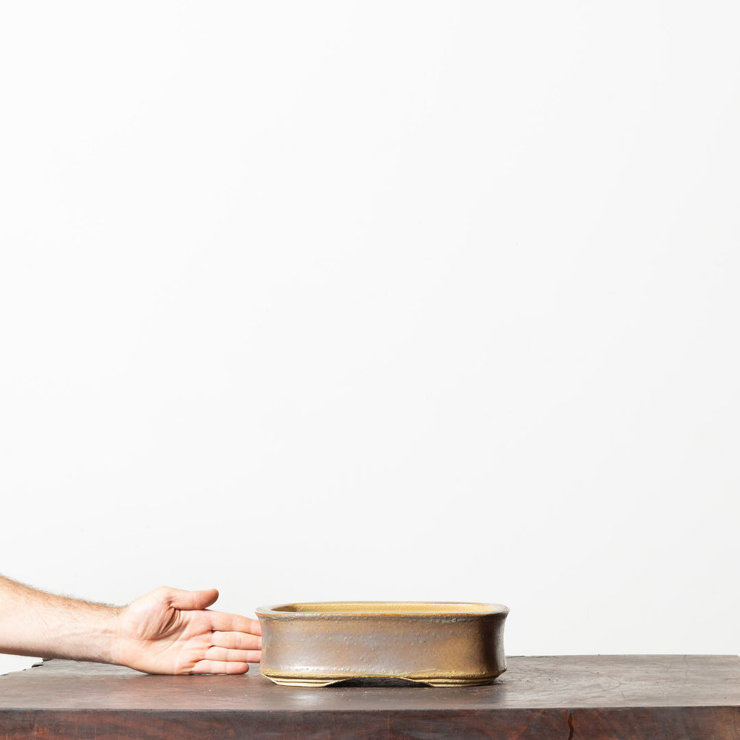 Glazed Rectangle No. 183