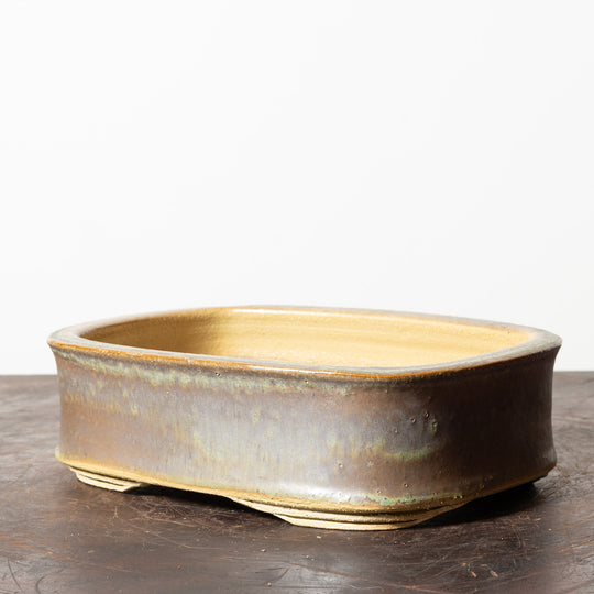 Glazed Rectangle No. 183