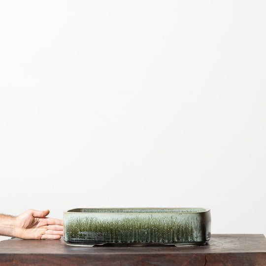 Glazed Rectangle No. 185