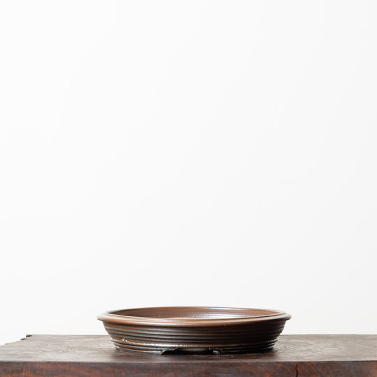 Glazed Round No. 214