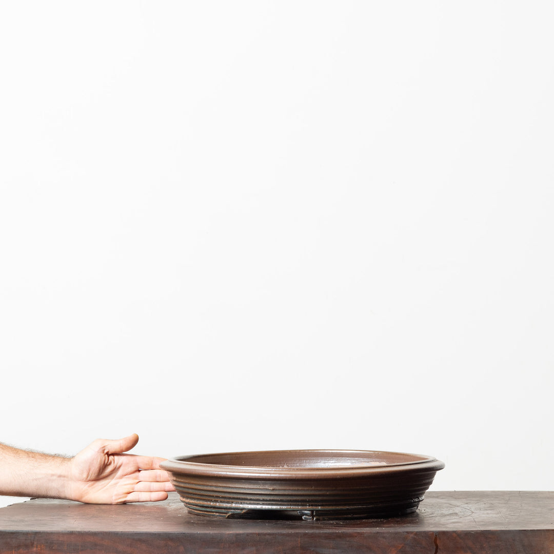 Glazed Round No. 214