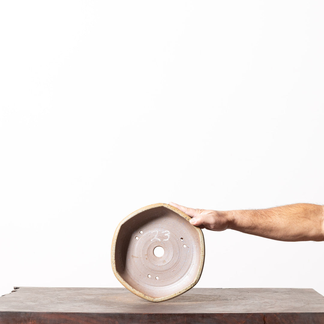 Refined Hexagon No. 100