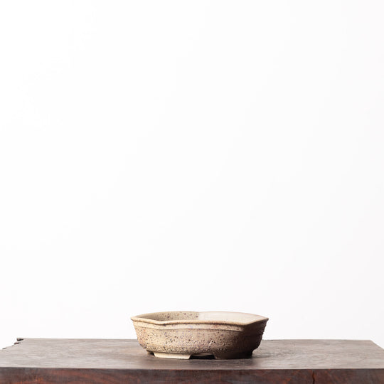 Rustic Hexagon No. 100