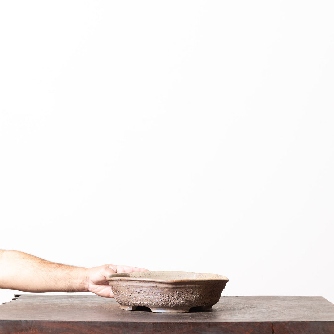 Rustic Hexagon No. 100