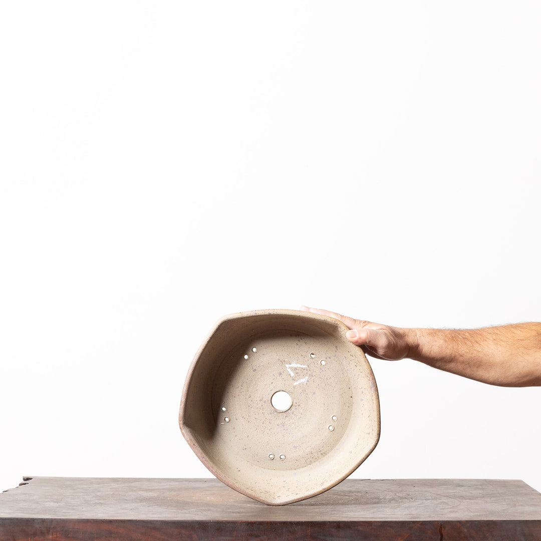 Rustic Hexagon No. 100