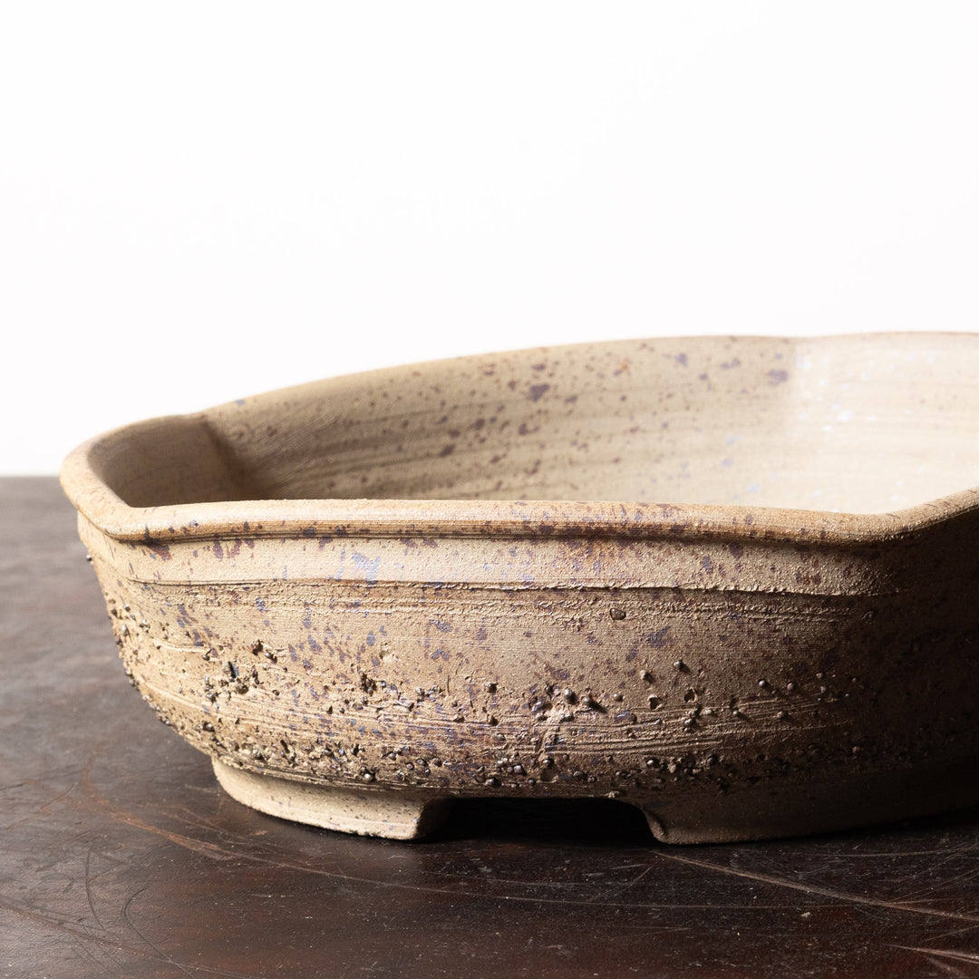 Rustic Hexagon No. 100