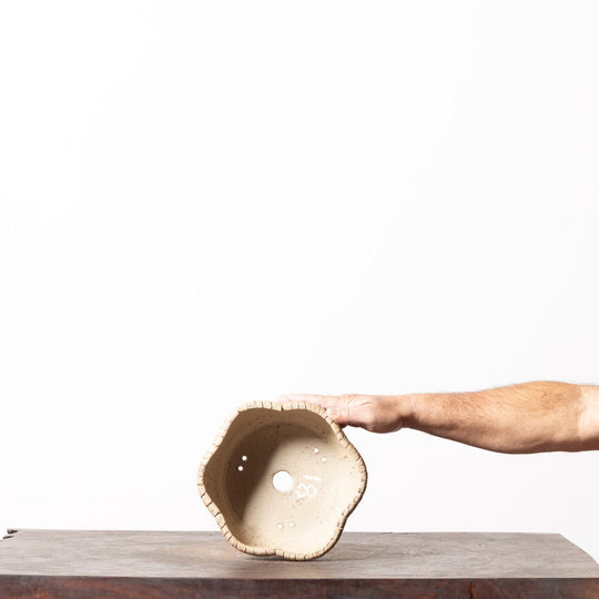 Rustic Hexagon No. 200