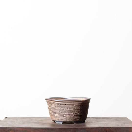 Rustic Pentagon No. 16