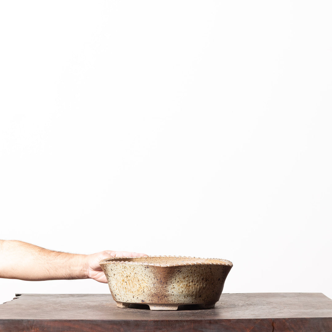 Rustic Pentagon No. 15