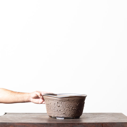 Rustic Pentagon No. 16