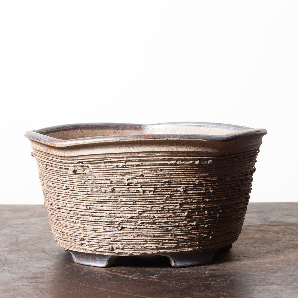 Rustic Pentagon No. 16