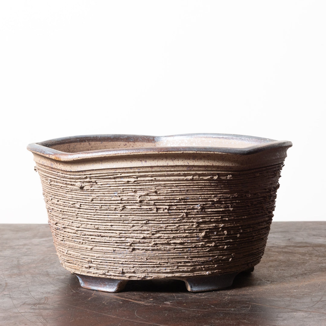 Rustic Pentagon No. 16