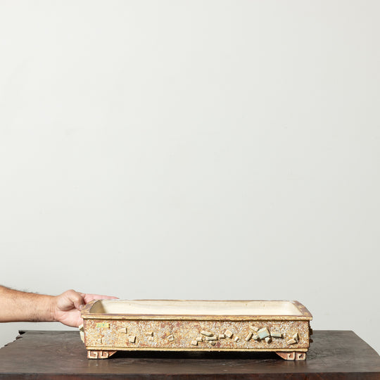 Textured Rectangle No. 66