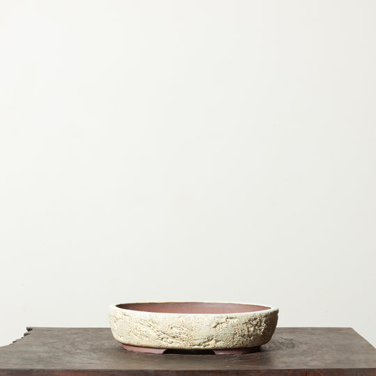 Textured Oval No. 77